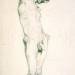 Untitled, Study of Standing Male Nude